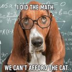Dog wearing glasses calculating on a chalkboard, can't afford the cat.