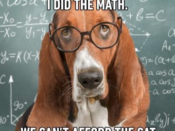 Dog wearing glasses calculating on a chalkboard, can't afford the cat.