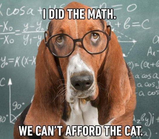 Dog wearing glasses calculating on a chalkboard, can't afford the cat.