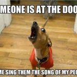 Small dog barking at door, hilariously captioned about singing.