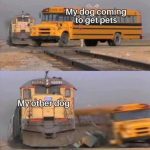 Dog eagerly seeking pets gets hilariously intercepted by another dog.