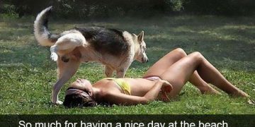 Dog hilariously interrupts woman's beach day with unexpected surprise.