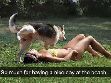 Dog hilariously interrupts woman's beach day with unexpected surprise.