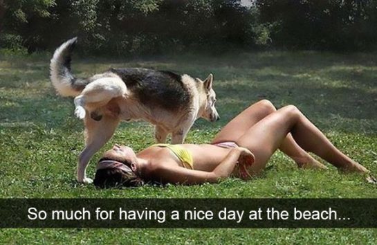 Dog hilariously interrupts woman's beach day with unexpected surprise.