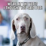 Surprised dog's reaction to vet visit with humorous text overlay.