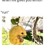 A creepy lemon on a tree with text saying "when life gives you lemon, run."