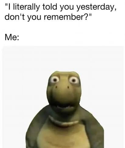 Turtle with blank stare, captioned with forgetful dialogue.