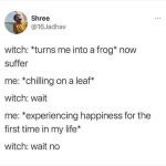 A meme about enjoying life after being turned into a frog by a witch.