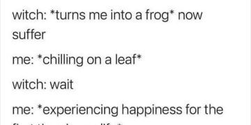 A meme about enjoying life after being turned into a frog by a witch.