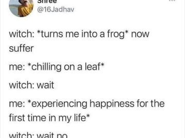 A meme about enjoying life after being turned into a frog by a witch.