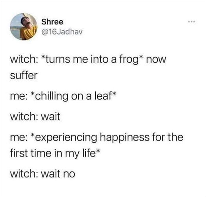 A meme about enjoying life after being turned into a frog by a witch.