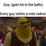 Shrek reacting humorously to a low blow incident in a meme.