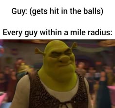 Shrek reacting humorously to a low blow incident in a meme.