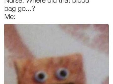 Blurry cat meme reacting to drinking hot sauce as a nurse asks about blood bag.