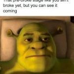 Shrek lying down with a caption about feeling pre-broke.