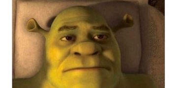 Shrek looking uncomfortable about going out