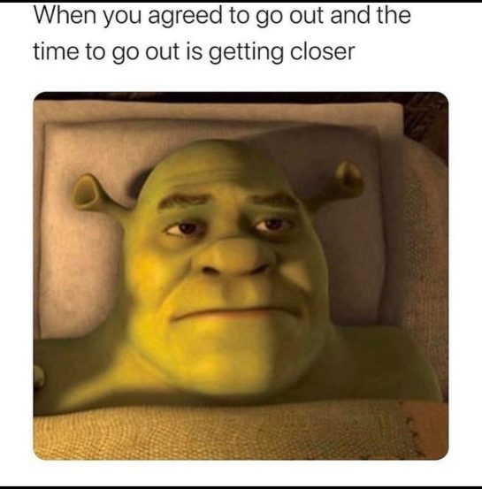 Shrek looking uncomfortable about going out