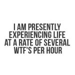 Life's moments rated in several WTF's per hour