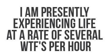 Life's moments rated in several WTF's per hour