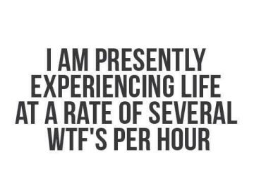 Life's moments rated in several WTF's per hour