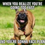 A dog running fast with a funny expression, looking panicked.