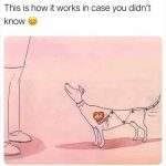 Illustration of a dog with a heart-powered tail wagging engine.