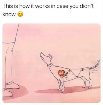 Illustration of a dog with a heart-powered tail wagging engine.