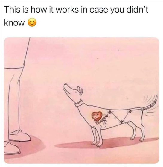 Illustration of a dog with a heart-powered tail wagging engine.