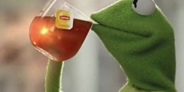 Kermit the Frog sipping tea with a caption about opinions.