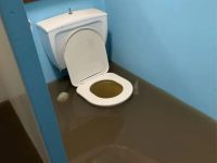 Bathroom flooded with water spilling from toilet, humorous mishap.