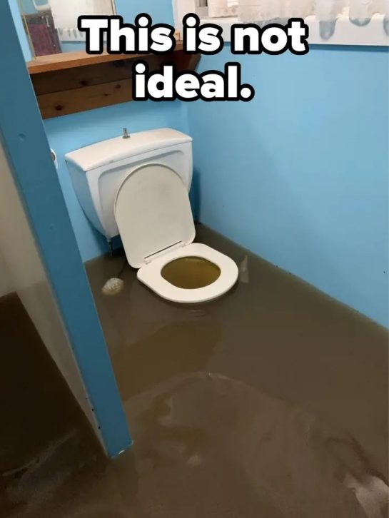 Bathroom flooded with water spilling from toilet, humorous mishap.
