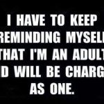 Meme about being an adult and facing consequences