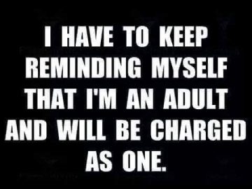 Meme about being an adult and facing consequences