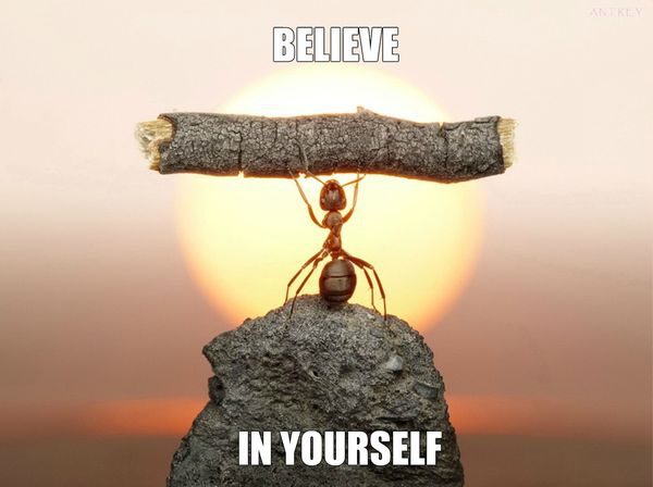 An ant lifting a stick with the words "Believe in Yourself" over a sunset.