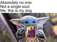 Baby Yoda holding a framed picture of a dog, meme style