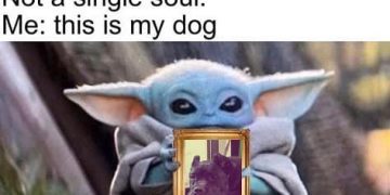 Baby Yoda holding a framed picture of a dog, meme style