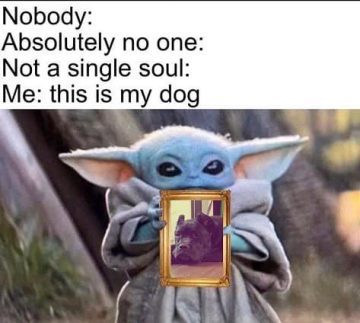 Baby Yoda holding a framed picture of a dog, meme style
