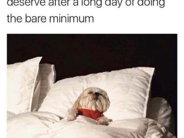 Dog enjoying sleep after a day of doing the bare minimum