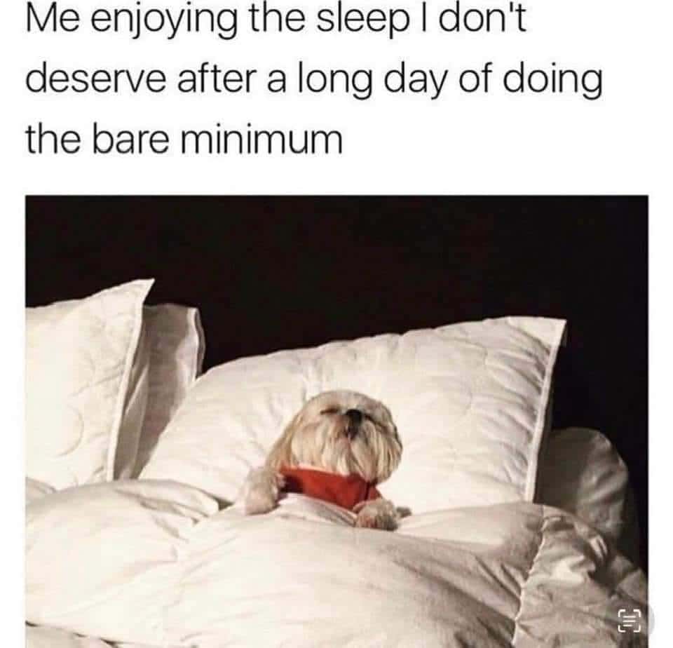 Dog enjoying sleep after a day of doing the bare minimum