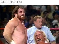 Wrestlers looking shocked after opening wrong bathroom stall