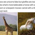 Giraffe and unicorn meme comparing believability of mythical creatures.