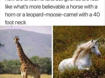 Giraffe and unicorn meme comparing believability of mythical creatures.