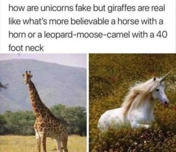 Giraffe and unicorn meme comparing believability of mythical creatures.