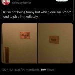 Photo of bathroom doors labeled Bees and Birds causing confusion.