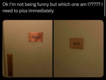 Photo of bathroom doors labeled Bees and Birds causing confusion.