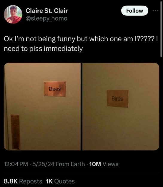 Photo of bathroom doors labeled Bees and Birds causing confusion.