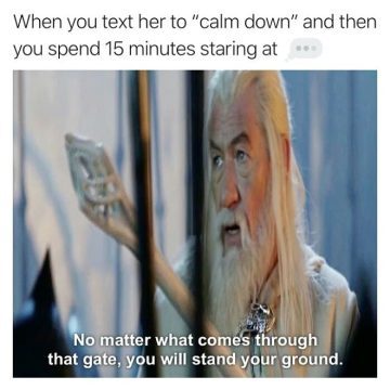 Meme of a wizard saying "stand your ground" about texting