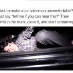 Person in car trunk pranking a salesman with a hilarious scream.
