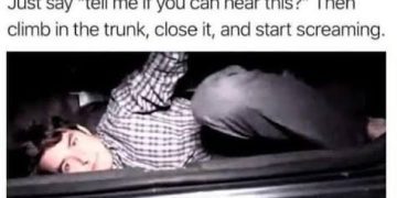 Person in car trunk pranking a salesman with a hilarious scream.