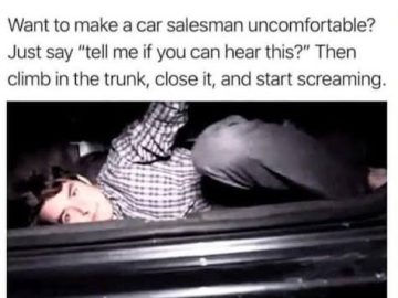 Person in car trunk pranking a salesman with a hilarious scream.